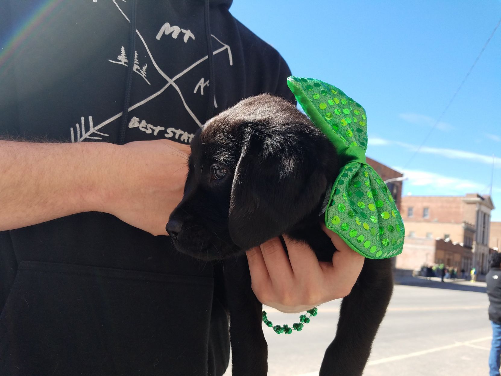 Pup